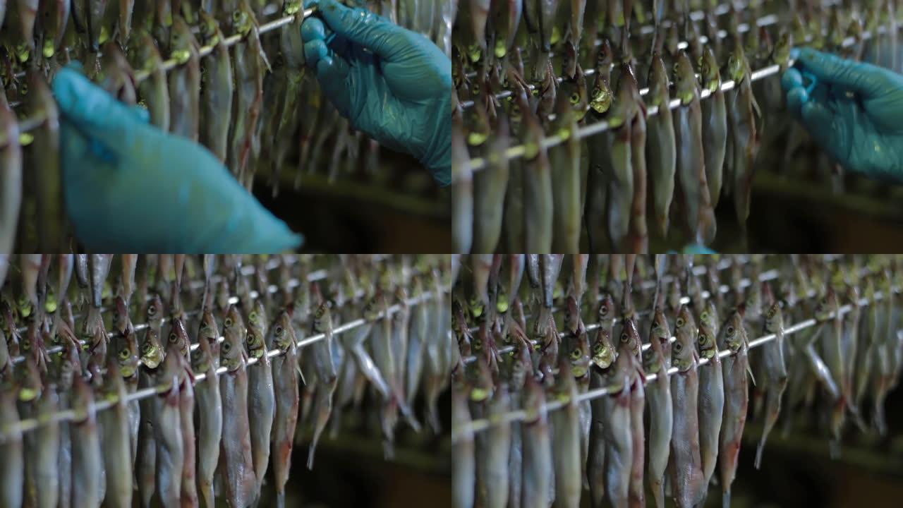 鱼串在串烧上抽烟。鱼类加工厂。冷热熏鱼。海鲜制造，养鱼场工厂，在食品工厂加工鱼