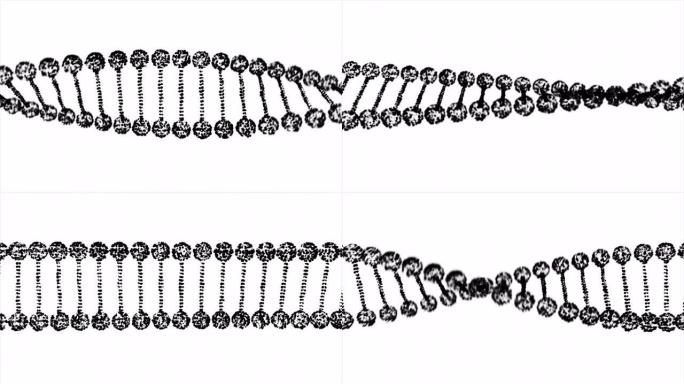 抽象暗DNA双螺旋景深旋转
