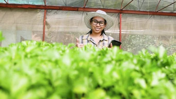 亚洲年轻女农民在温室有机蔬菜沙拉中使用平板电脑。农民使用平板电脑在农业领域工作。