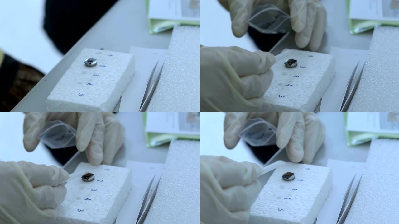 科学家正在实验室中制备用于扫描电子显微镜 (SEM) 机器的纳米材料