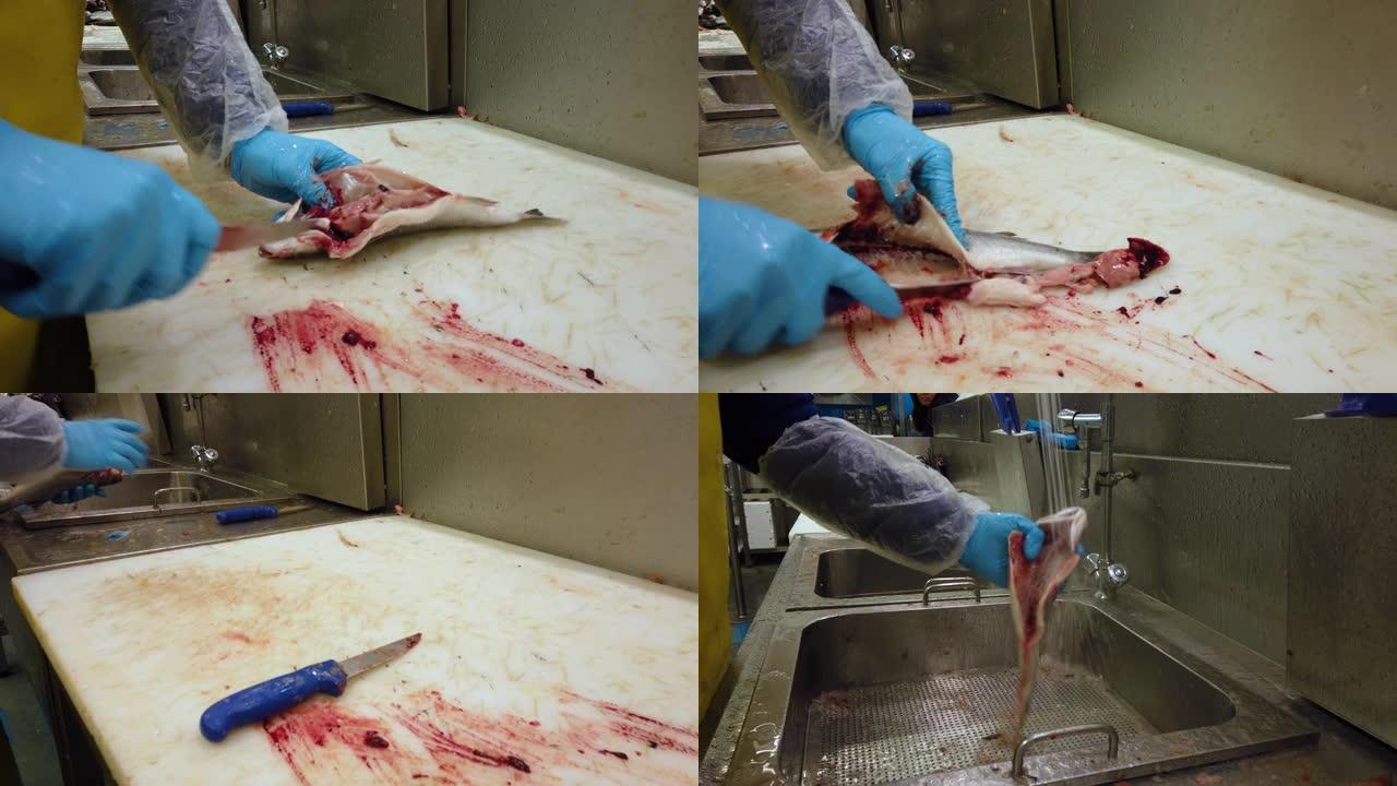 男子切割，在鱼市场上清洗鱼4k镜头