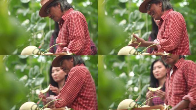 亚洲农民测试了用于研究和开发的甜瓜作物品种的甜度，转基因食品，生物食品概念