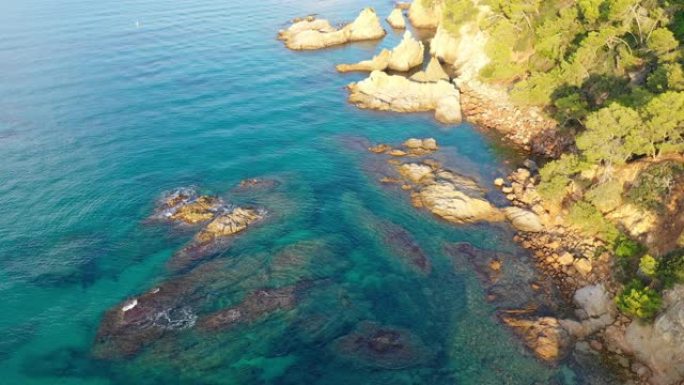 美丽的热带海景美丽的热带海景