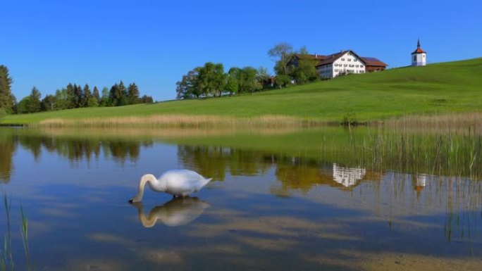 Hergratsrieder Lake，Bavaria，德国