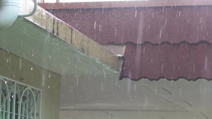 热带雨滴下降的4k镜头。