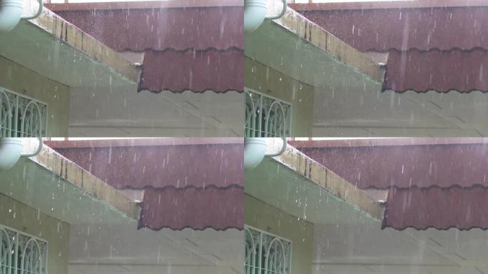 热带雨滴下降的4k镜头。