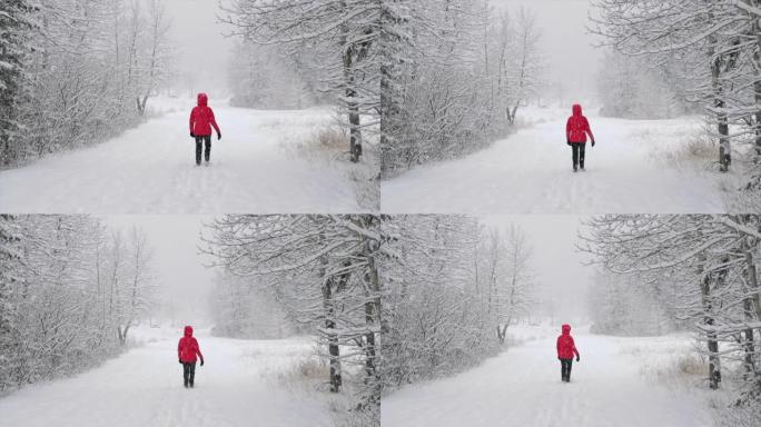 亚洲女人在白雪皑皑的森林里玩得开心
