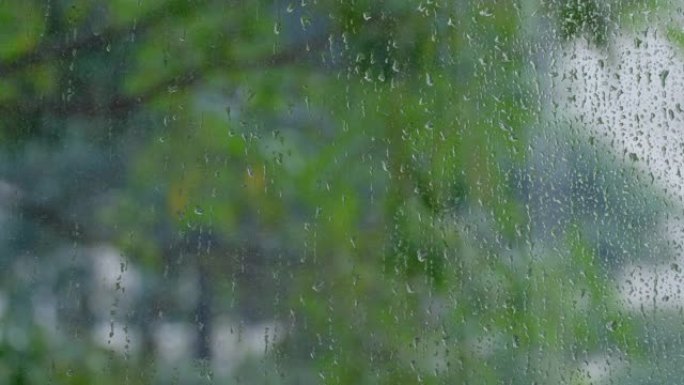 在多雨的夏日，绿色的树木穿过潮湿的窗户玻璃