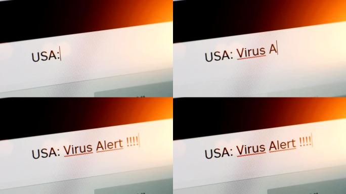 在网页浏览器的地址或搜索栏上输入美国病毒警报