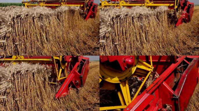 联合收割机收获成熟小麦
