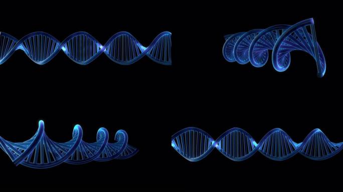 脱氧核糖核酸站在黑色背景下旋转和扭曲 -- 无缝循环