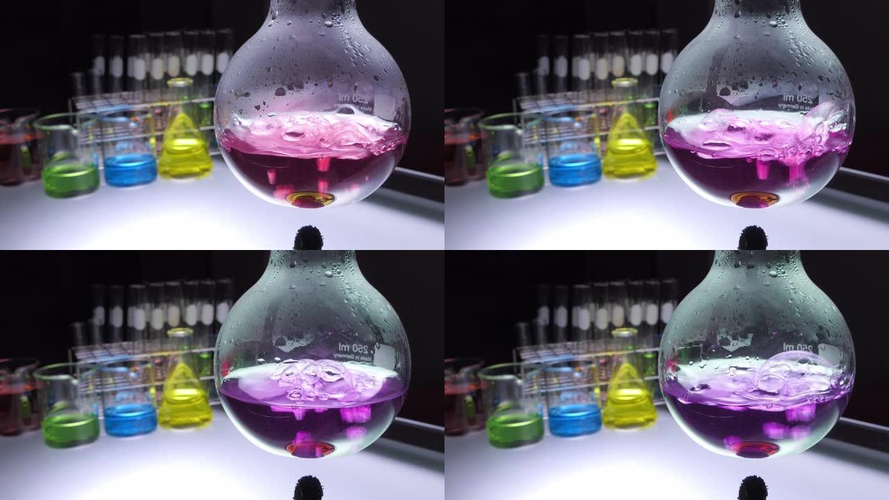关闭酒精灯将红色化学液体煮沸成紫色或紫色，在黑色背景上带有实验室玻璃器皿的烧瓶中。实验室研究与开发