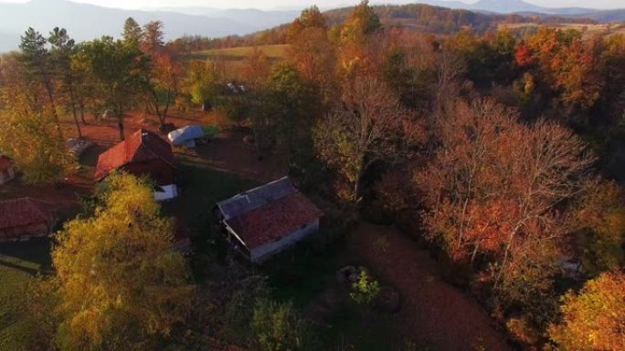 在阳光明媚的秋天，在散布着房屋和橙色落叶松森林的小山村上空前进。山间蜿蜒的山路鸟瞰图。