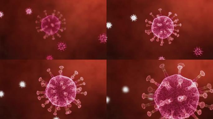 3D渲染动画冠状病毒在显微镜下旋转