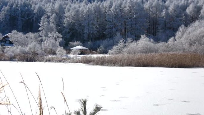 长野县圣高原的雪景。