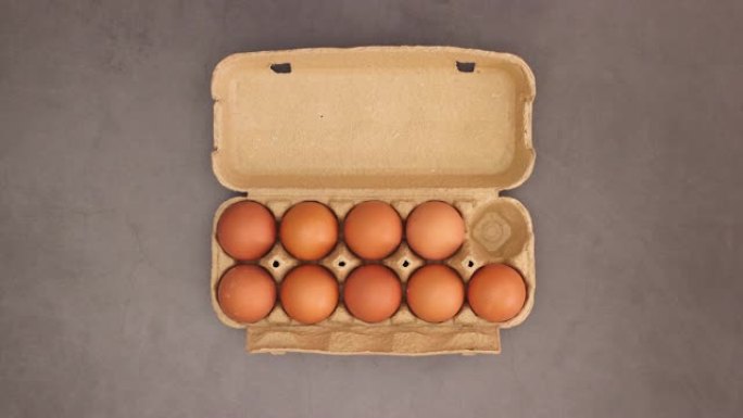 鸡蛋出现在黑暗背景下的鸡蛋盒中-停止运动