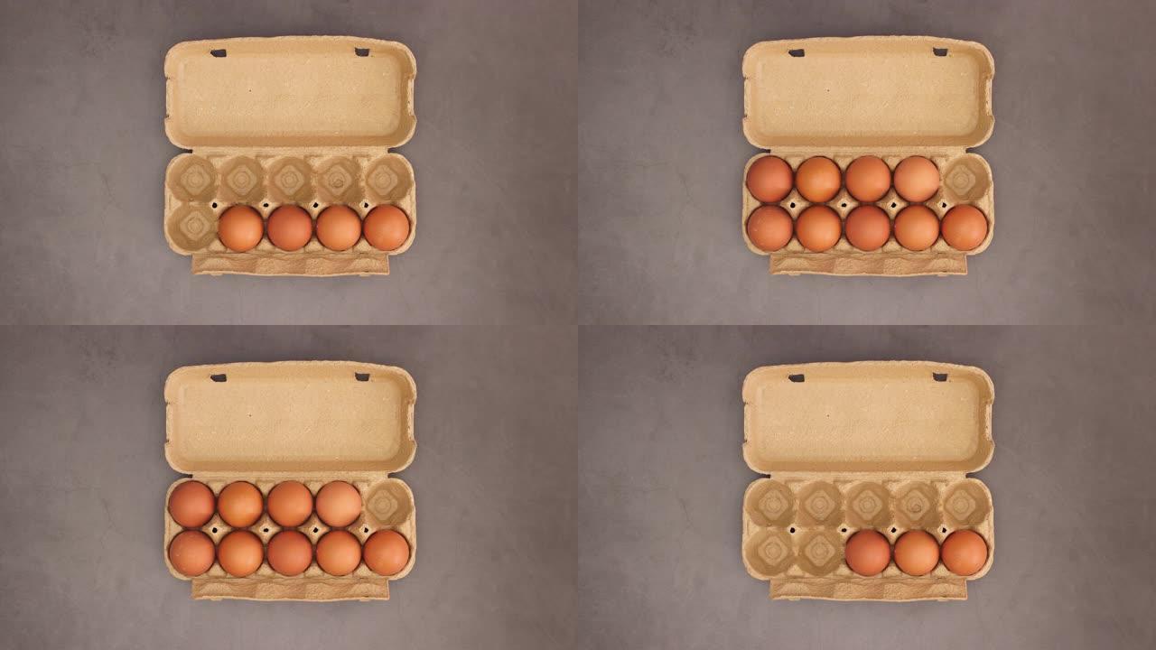 鸡蛋出现在黑暗背景下的鸡蛋盒中-停止运动