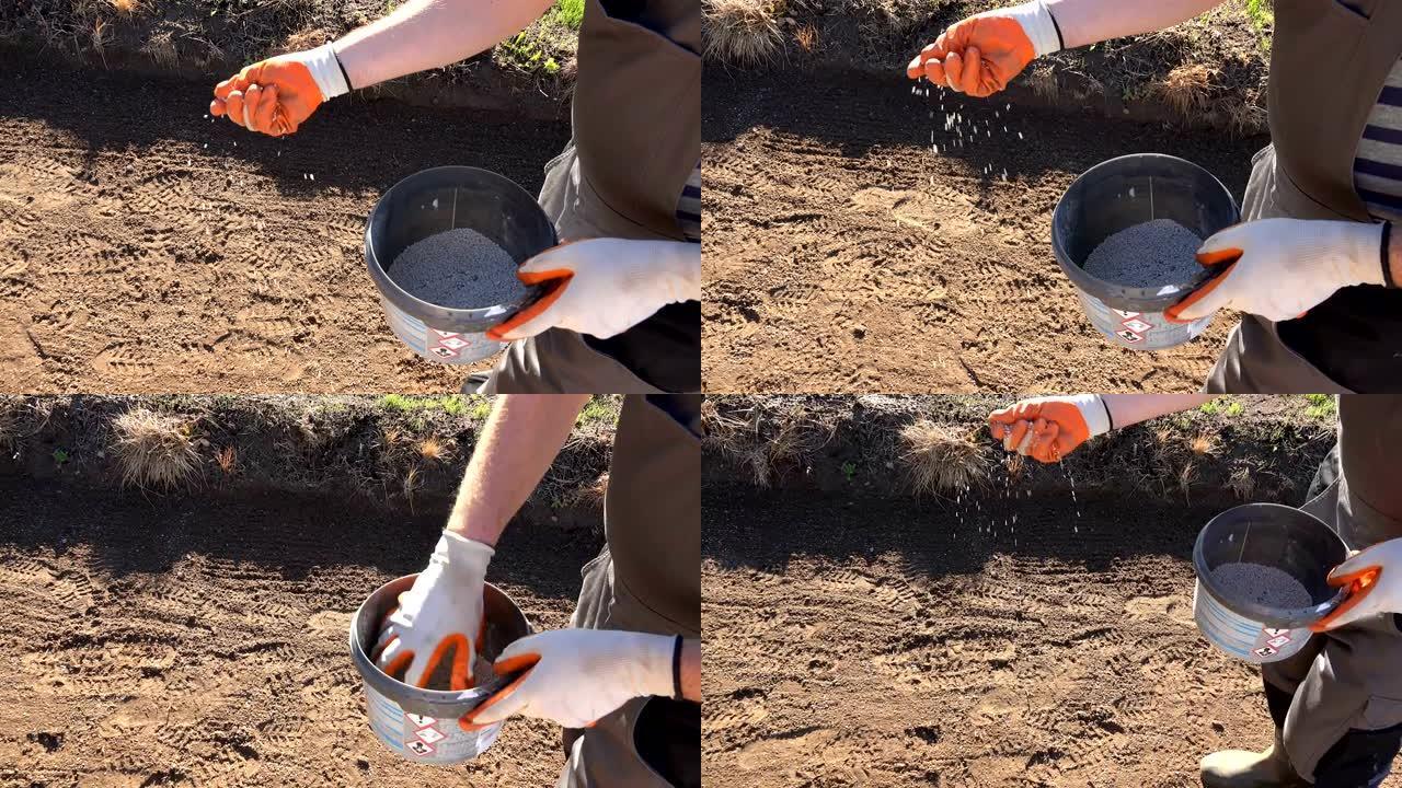农民园丁手握化肥化学颗粒倒在土壤上