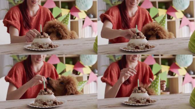 兴奋的狗要他的生日蛋糕