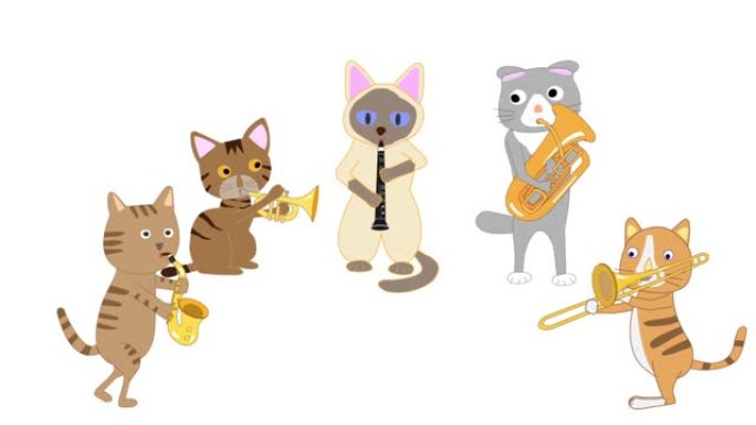 猫音乐会动画片2D可爱有趣