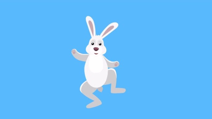 卡通小兔子平面人物音乐舞蹈动画包括哑光