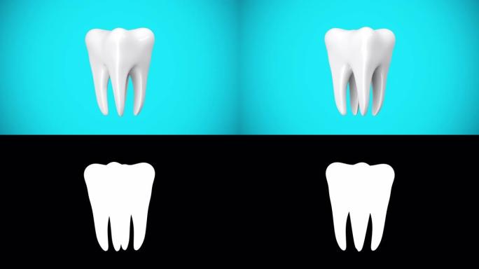 特写慢动作清洁白色牙齿在蓝色背景上旋转，阿尔法哑光。3D动画。4K