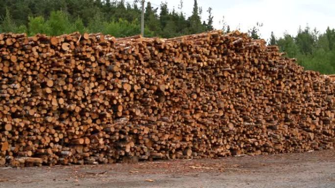 木材库存木材木头树木
