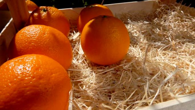 阳光明媚的日子里，多汁的橘子被放在木箱里