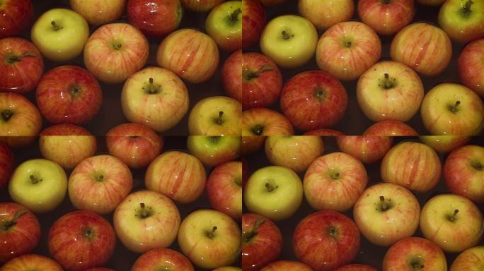 在获得close的维生素汁之前在植物中清洗红苹果的过程