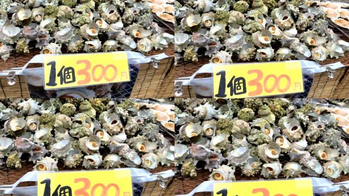 日本东京小吃摊上的海贝壳展示