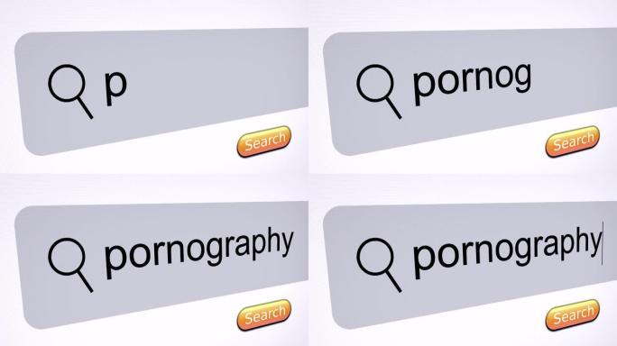 在电脑屏幕的搜索栏中输入“色情作品”