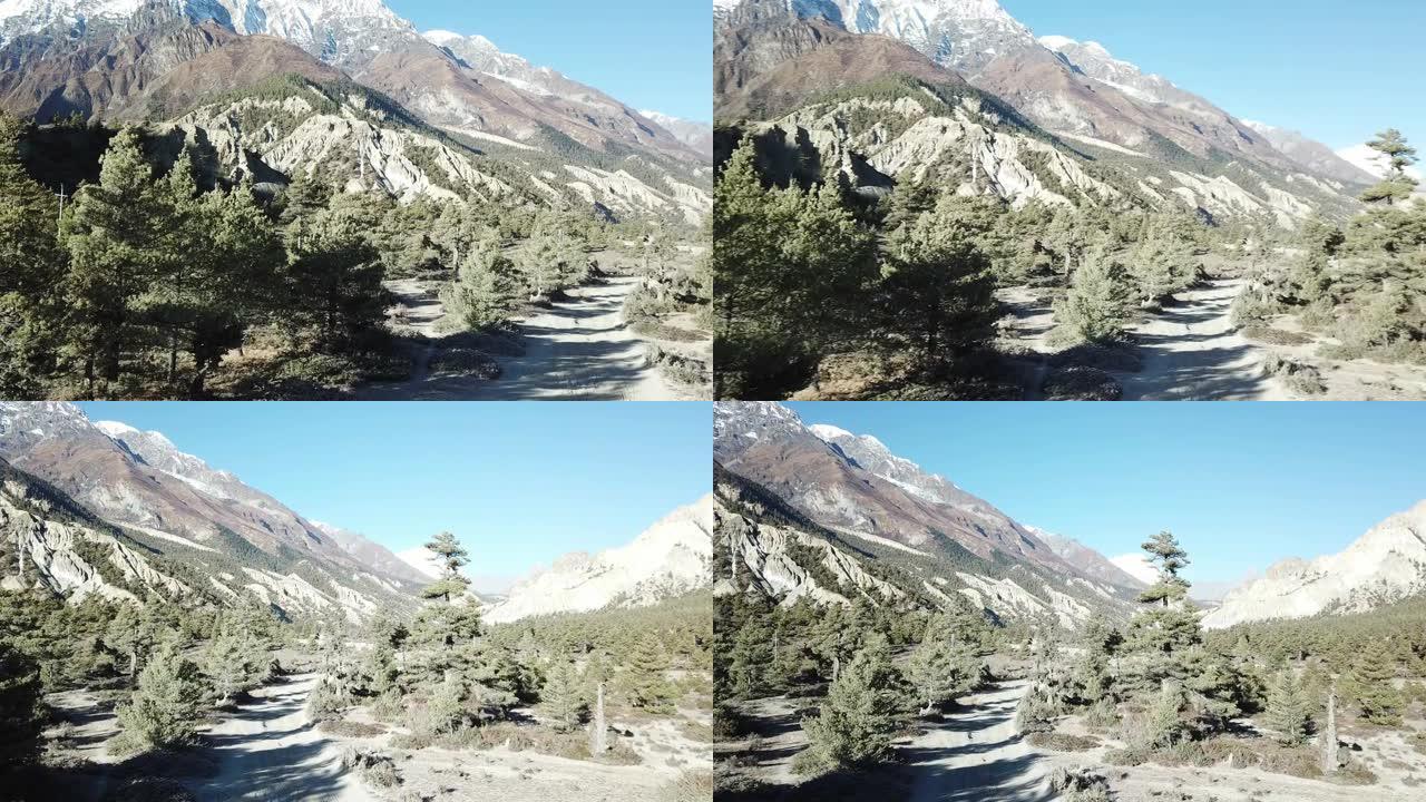 一条穿过尼泊尔喜马拉雅山马南山谷森林的小路。后面的安纳普尔纳链尖锐而贫瘠的山峰。安纳普尔纳巡回赛。大
