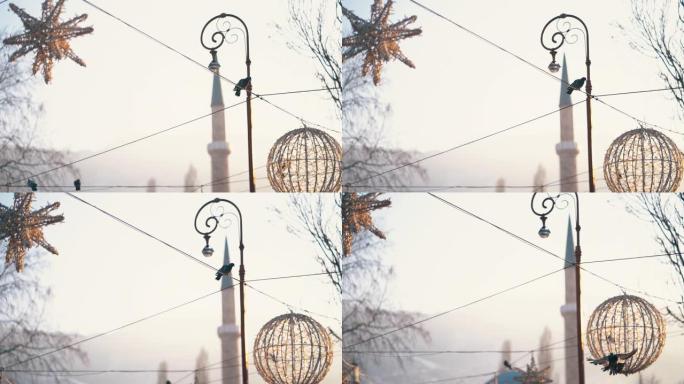 在一个阳光明媚的冬日里，波斯尼亚萨拉热窝的塞bilj的慢镜头录像