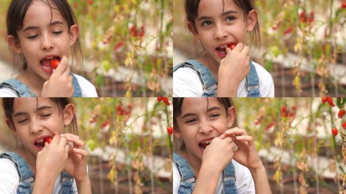专注于梦幻般的风格，年轻女孩在oganic农场吃新鲜西红柿，转基因食品，生物食品，另类ifestyl