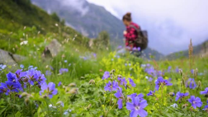 女背包客走山路花丛小花紫花