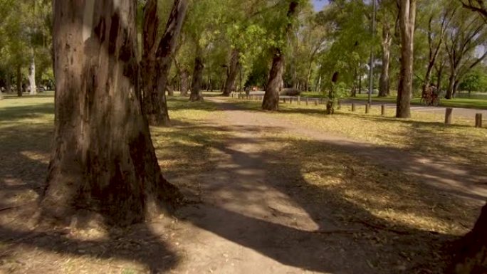 骑自行车行驶穿过城市公园。人视点板。晴天，树木。