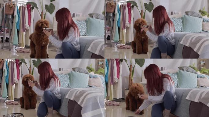 年轻女子在卧室地板上训练棕色狮子狗