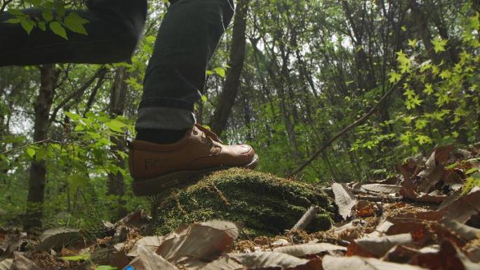 山林 户外 森林 大自然 树林徒步探险