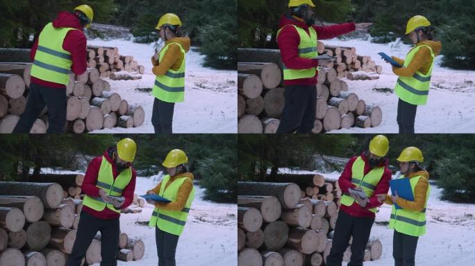 木材工业。工程师测量和计算日志量。组织运输问题。采取措施重新造林林地。