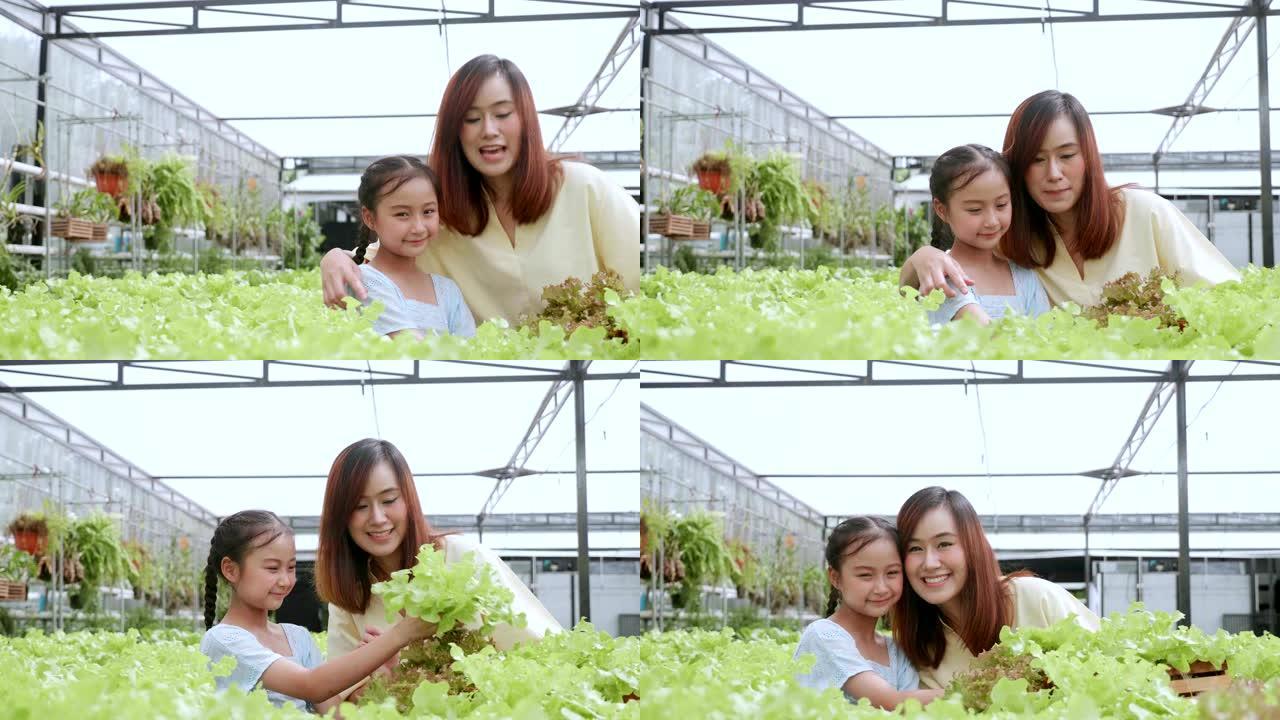 妇女和女儿在有机农场选择蔬菜沙拉。