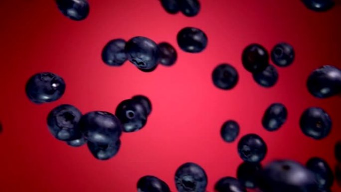 多汁的蓝莓在酒红色背景上飞翔