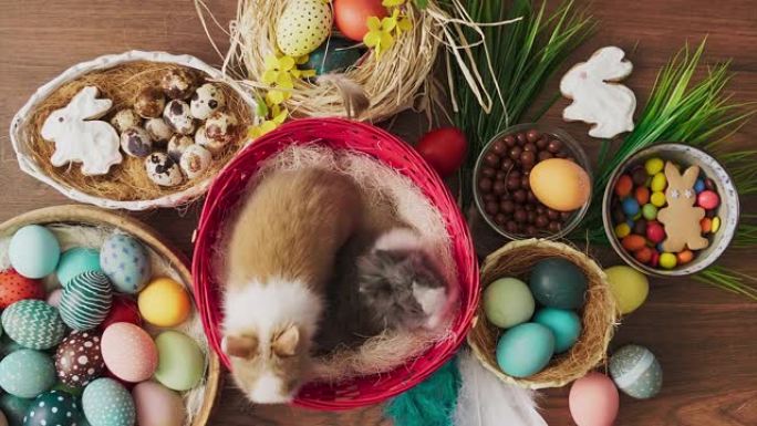 篮子里的复活节兔子，木制桌子上放着五颜六色的鸡蛋。复活节节日装饰品。