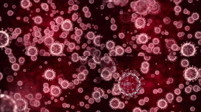 冠状病毒COVID 19 nCov与人体内的红细胞