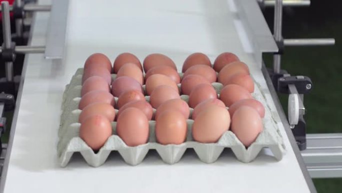 鸡蛋生产加工生产线流水线无菌蛋