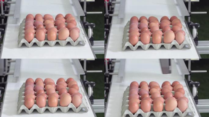鸡蛋生产加工生产线流水线无菌蛋