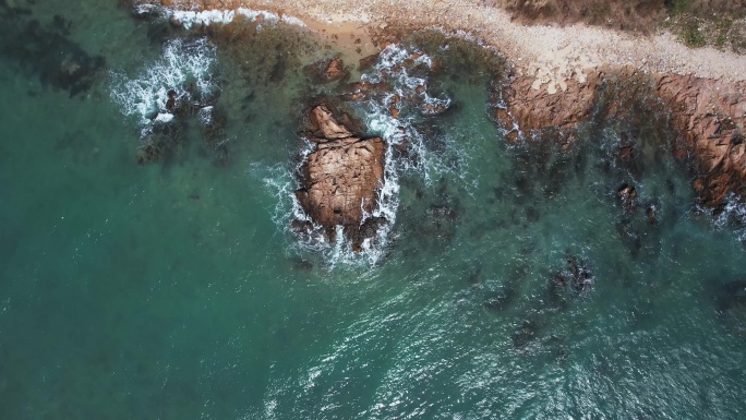 海边乌龟礁石 海浪 大海