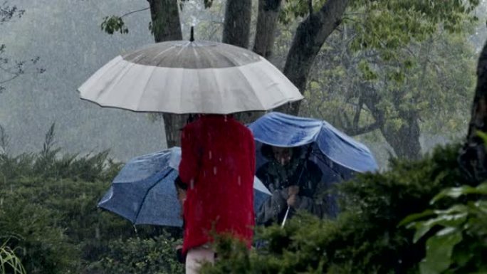三个孩子的慢动作在雨中快乐奔跑，用雨伞的水坑