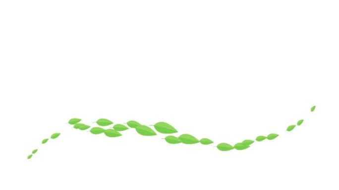 动画绿叶从左到右飞行。白色背景上的一股飞叶。