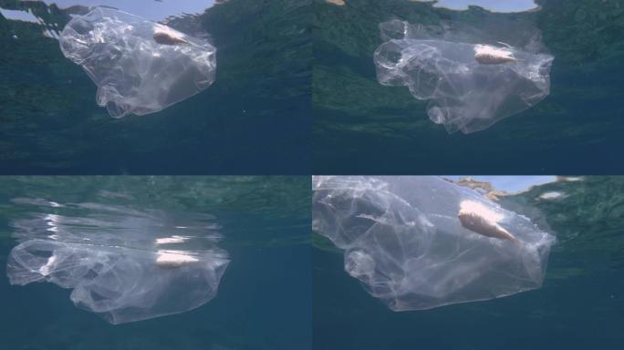 塑料污染，河豚被困在塑料袋中死亡。废弃的透明塑料袋漂浮在蓝色水中的水面下，里面有死鱼。水下射击，地中