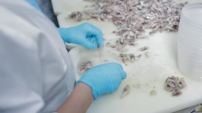 女工戴上防护手套，将鱼肉倒入塑料罐中。鱼类保存生产，在海鲜厂将鱼片分拣在塑料容器中。罐头食品，切去内